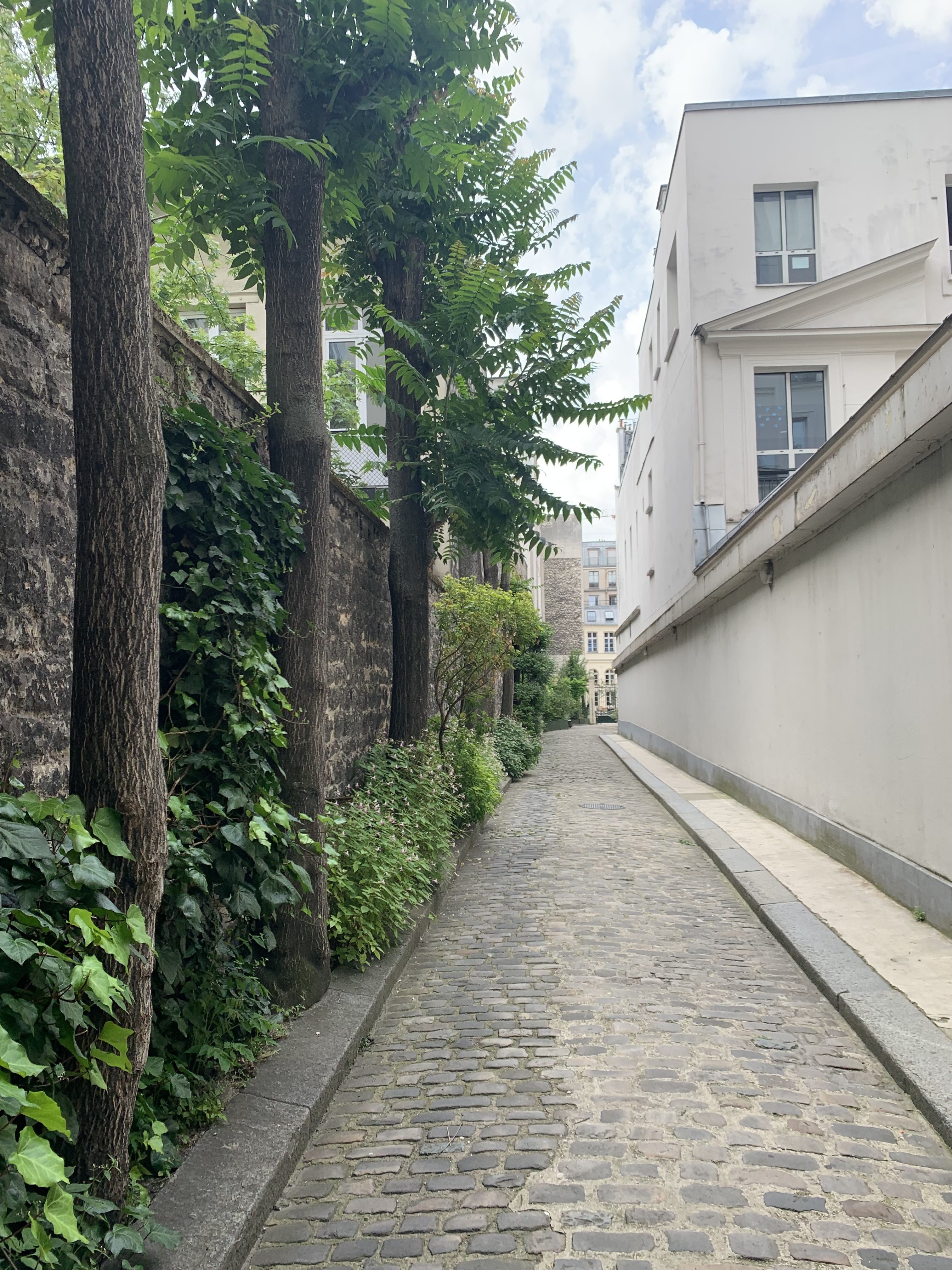 2_Hetel_Bony_passage_pavee_depuis_13_rue_Bleue.jpg